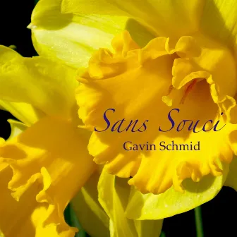 Sans souci by Gavin Schmid