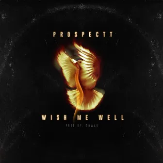 Wish Me Well by Prospectt