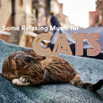 Some Relaxing Music for Cats by Some Cat Songs