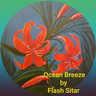 Ocean Breeze by Flash Sitar