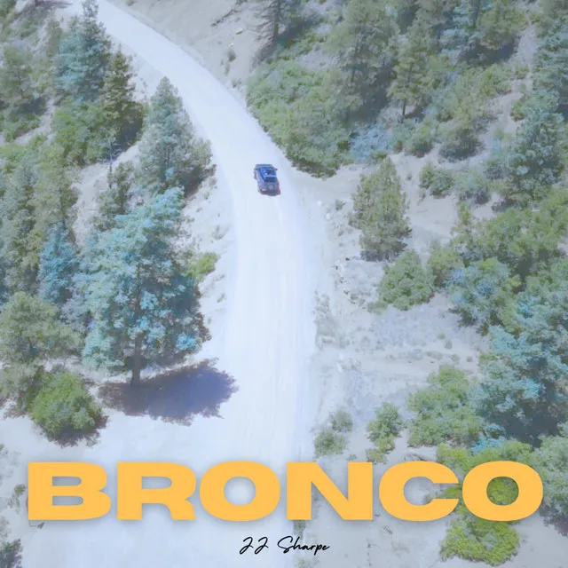 Bronco