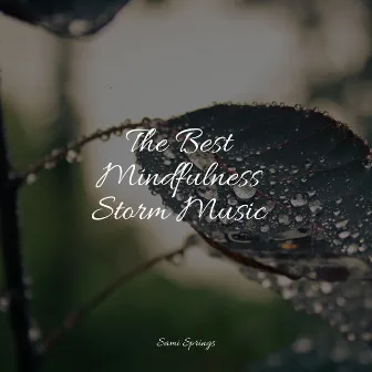 The Best Mindfulness Storm Music by Rain Sound Plus