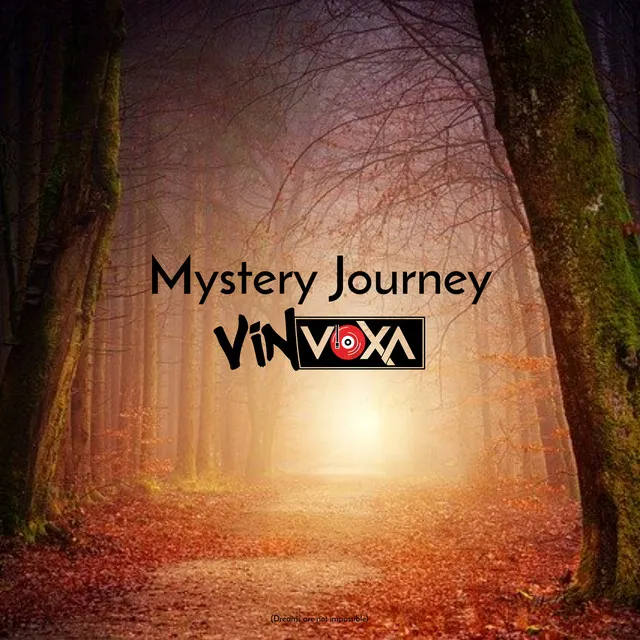 Mystery Journey