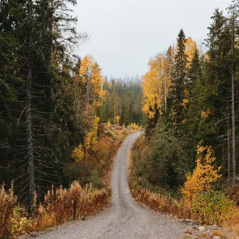 Evening Stroll On Dirt Road by Scandinavian Ambience