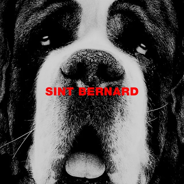 Sint Bernard