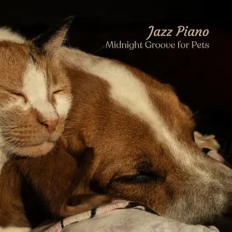 Jazz Piano: Midnight Groove for Pets by The Modern Jazz BGM Group