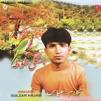 Jangli Totah by Gulzar Ahmad Hajam