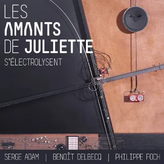 Les amants de Juliette s'électrolysent by Philippe Foch