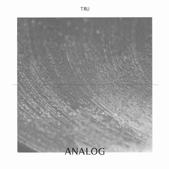 Analog by Tru