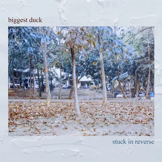 Stuck in Reverse by Biggest Duck