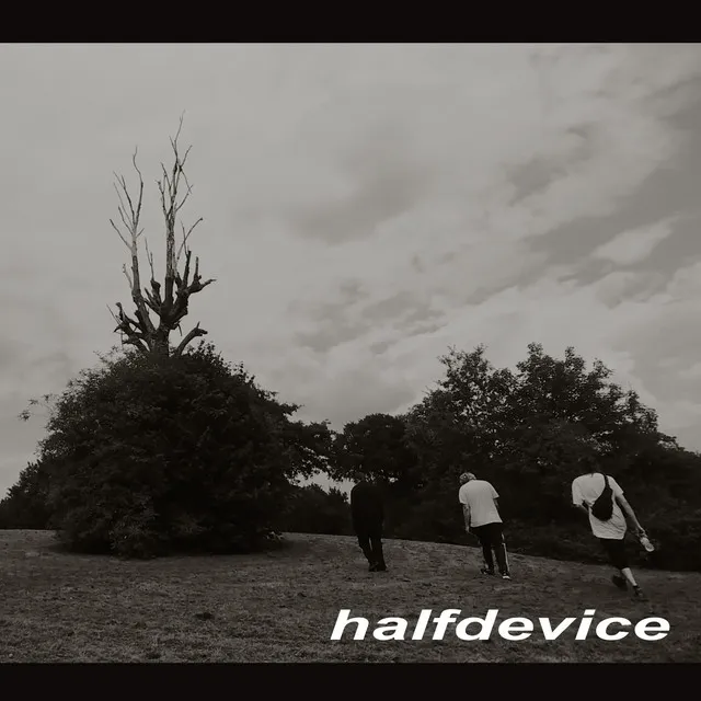 Halfdevice