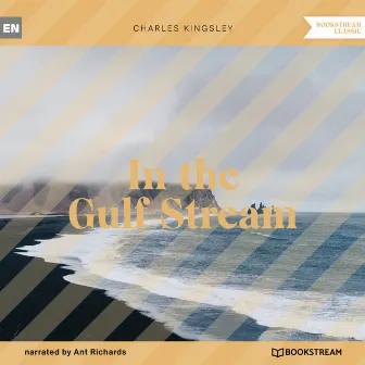 In the Gulf Stream (Unabridged) by Ant Richards