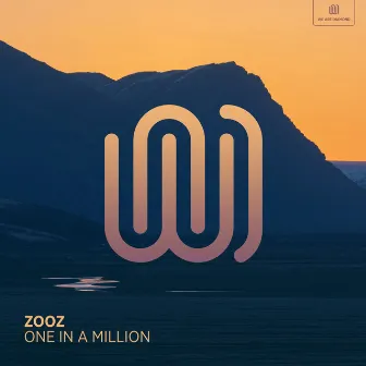 One in A Million by ZOOZ