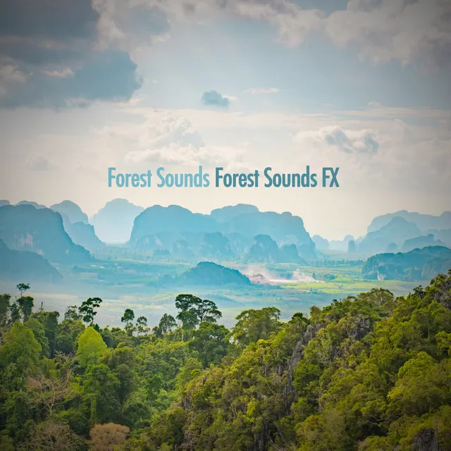 Forest Sounds Part 1