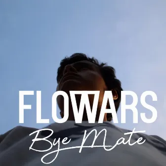 Bye Mate by Flowars