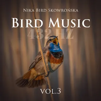 Bird Music 432 Hz Vol. 3 by Nika Bird Skowrońska