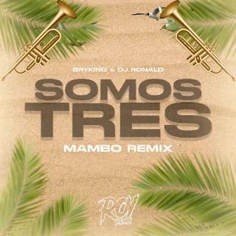 Somo Tres (Mambo) [Remix] by Bryking