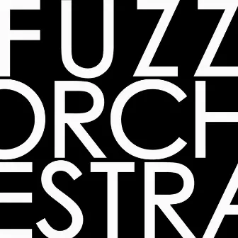 Comunicato n°2 by Fuzz Orchestra