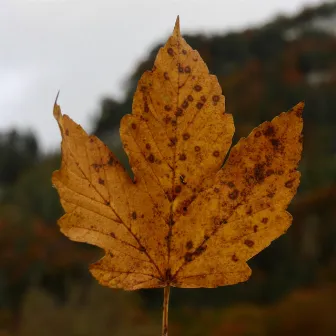 Herbscht by Marc Mängisch