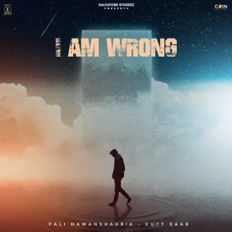 I Am Wrong by Pali Nawanshahria