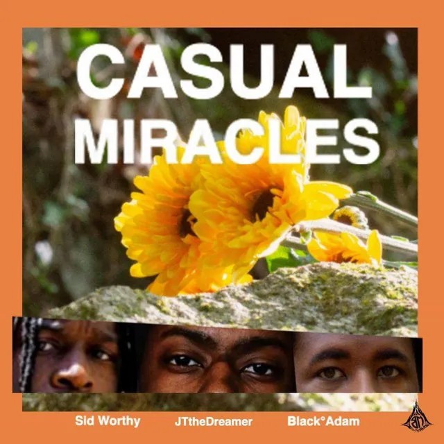 Casual Miracles