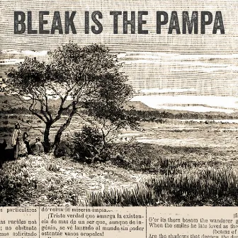 Bleak is the Pampa by Charlie O' Brien