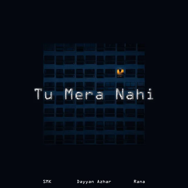 Tu Mera Nahi