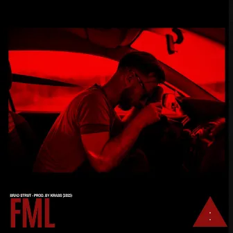 FML by Brad Strut