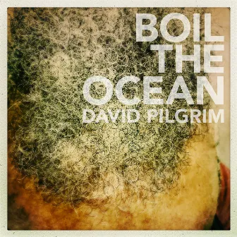 Boil the Ocean (Stream Edition) by David Pilgrim