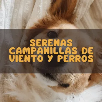 Serenas Campanillas De Viento Y Perros by Bandas sonoras para perros durmiendo Deluxe