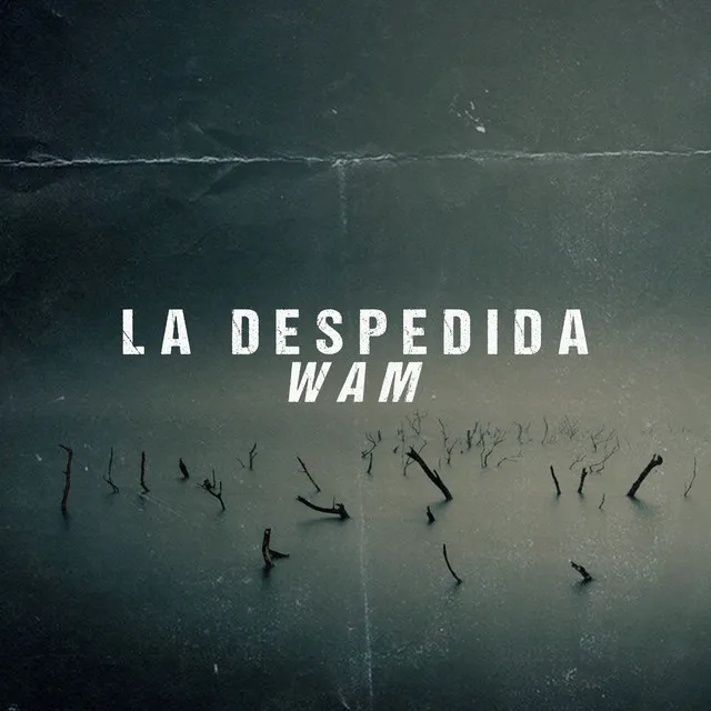 La Despedida