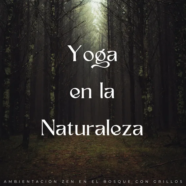 Yoga En La Naturaleza: Ambientación Zen En El Bosque Con Grillos