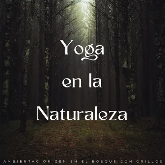 Yoga En La Naturaleza: Ambientación Zen En El Bosque Con Grillos by Clases de Dayoga