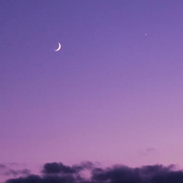 Purple Sky