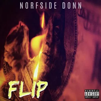 Flip by Norfside Donn