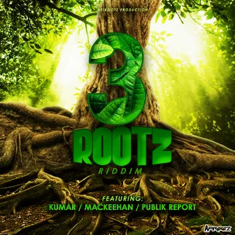 3Rootz Riddim by Mackeehan