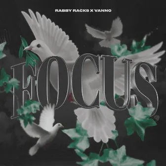 Focus by Rabby Racks