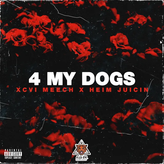 4 My Dogs