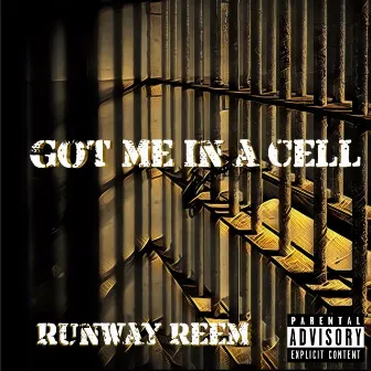 Got Me In A Cell by Runway Reem