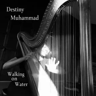 Walking on Water by Destiny Muhammad