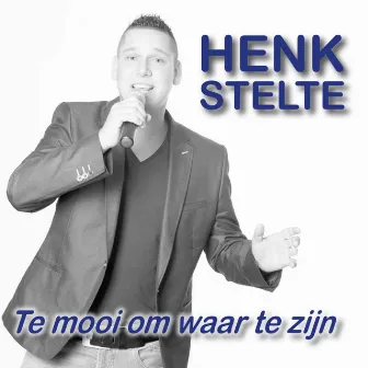 Te mooi om waar te zijn by Henk Stelte