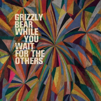 While You Wait For The Others by Grizzly Bear