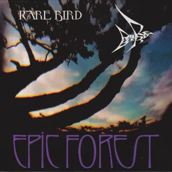 Epic Forest by Rare Bird