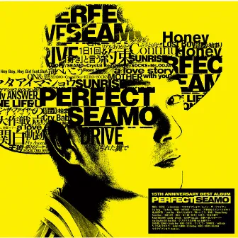 perfect seamo by SEAMO