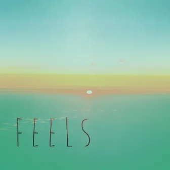 Feels by Casey Cuts