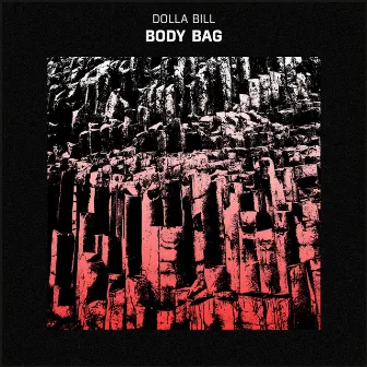 Body Bag by Dolla Bill