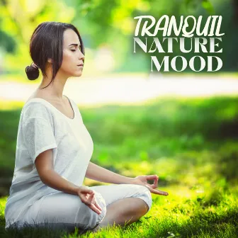 Tranquil Nature Mood: Calming Sounds of Nature for Meditation by Zen Soothing Sounds of Nature