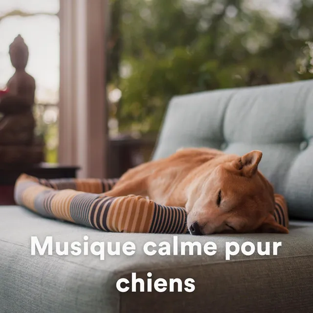 Musique calme pour chiens