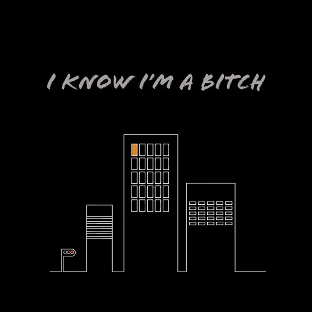 I know I'm a bitch