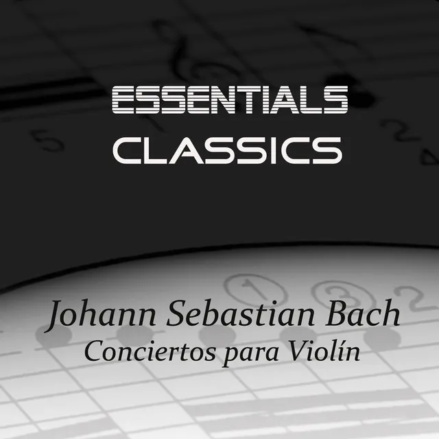 Concerto In D Minor, For 2 Violins, BWV 1043: II. Largo Ma Non Tanto